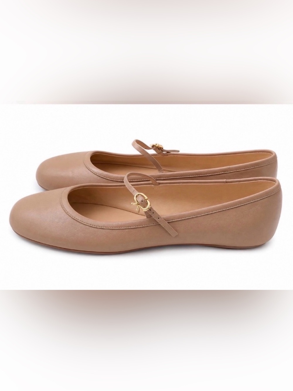 GIANVITO ROSSI Carla Ballet Flats | Beige Leather | EU 40 - Picture 5 of 6